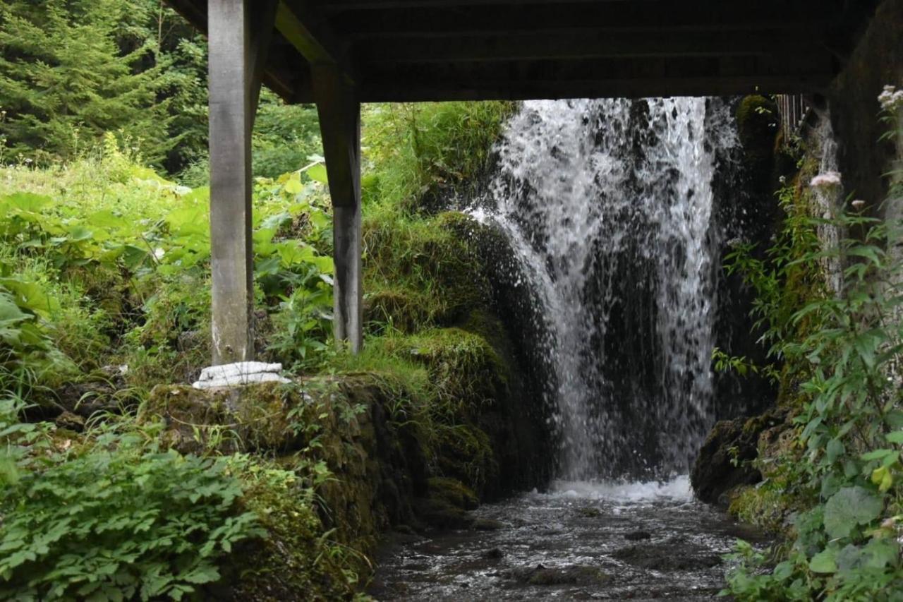 Wooden House With A Waterfall "Stipanov Mlin" Villa Plitvička Jezera Dış mekan fotoğraf